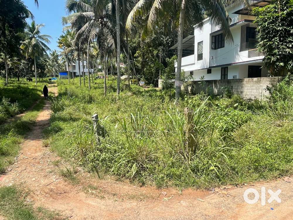 Plot for sale - Perakam - Rs 6 Lakhs/Cent