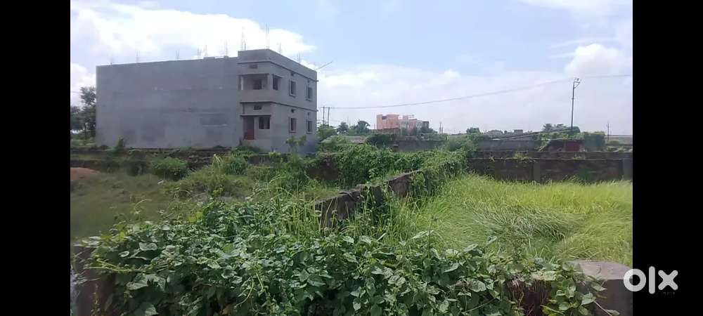 भागलपुर में सबसे अच्छे लॉकेशन पर प्लॉट बायपास नियर बिरला स्कूल