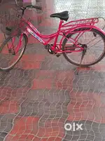 Ladies cycle