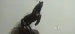 Wooden Horse