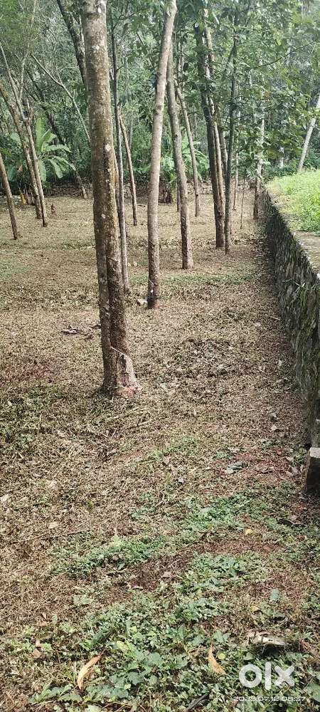 പെരുബഴുതൂർ വിഷ്ണുപുരം ക്ഷേത്രം നിയർ