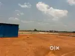 DTCP Plots near Kandharvakottai Thanjavur NH