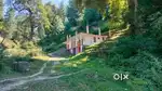 9 Biswa with house in patlikulah manali