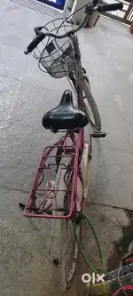 Lady bird bicycle