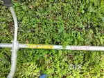 new Honda 4strokebrush cutter for Sale