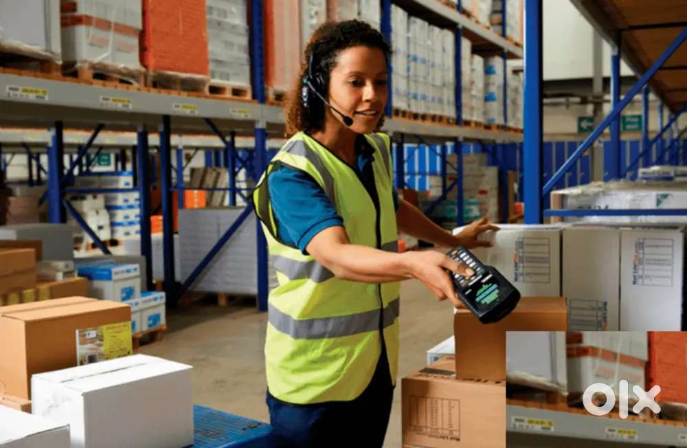 Warehouse Assistant Location Behala