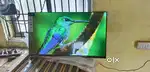 40 inch sony smart Android frameless oled 4k 3yr display waranty