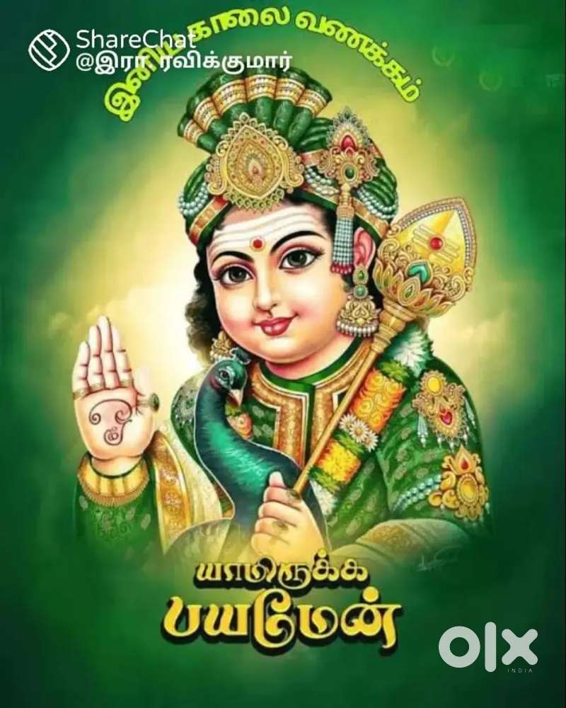 Need urgent sale very good maintenance