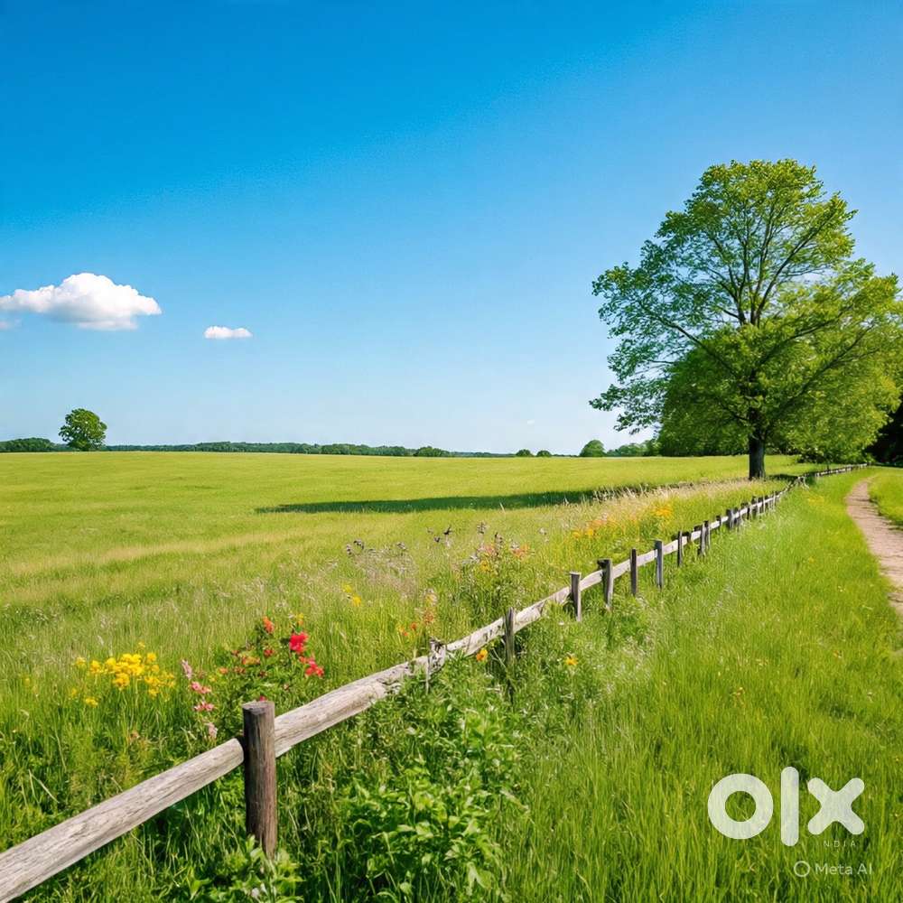 Buy what kind of land do you like