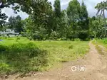 26 cent land or plot for sale in kanjoor,near airport,aluva,Angamaly