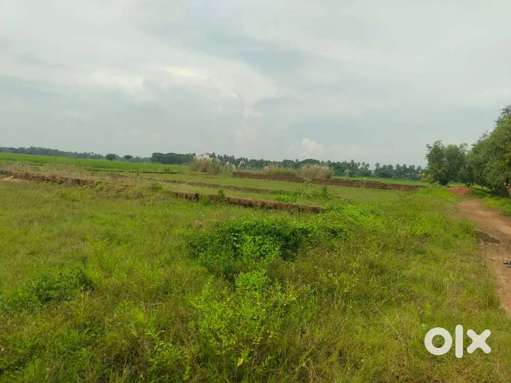 Priya srikhetra near pipili tollgate 400mtr distance from NH
