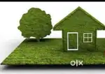 Divankavala,mooledam area il rent house venam
