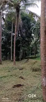 Good Area മലപ്പുറം കാട്ടുങ്ങൽ