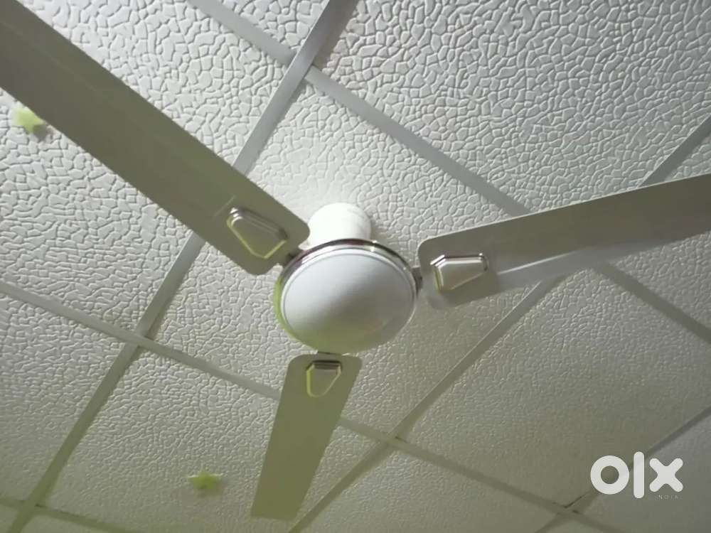 Bajaj decor ceiling fan