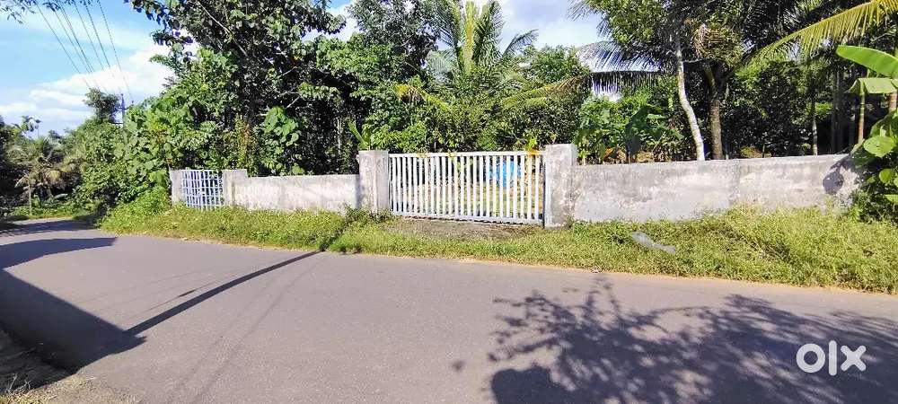 15 CENT LAND FOR SALE AT ANGAMALY PULIYANAM