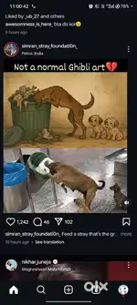 Animal care taker for NGO