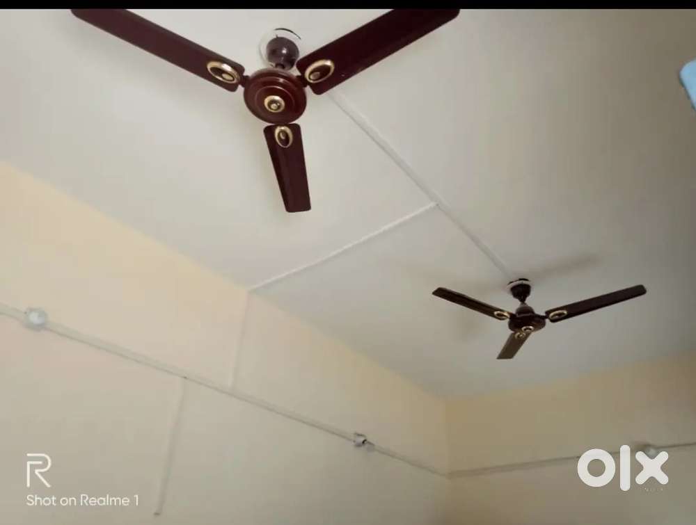 Room Available only for Girls