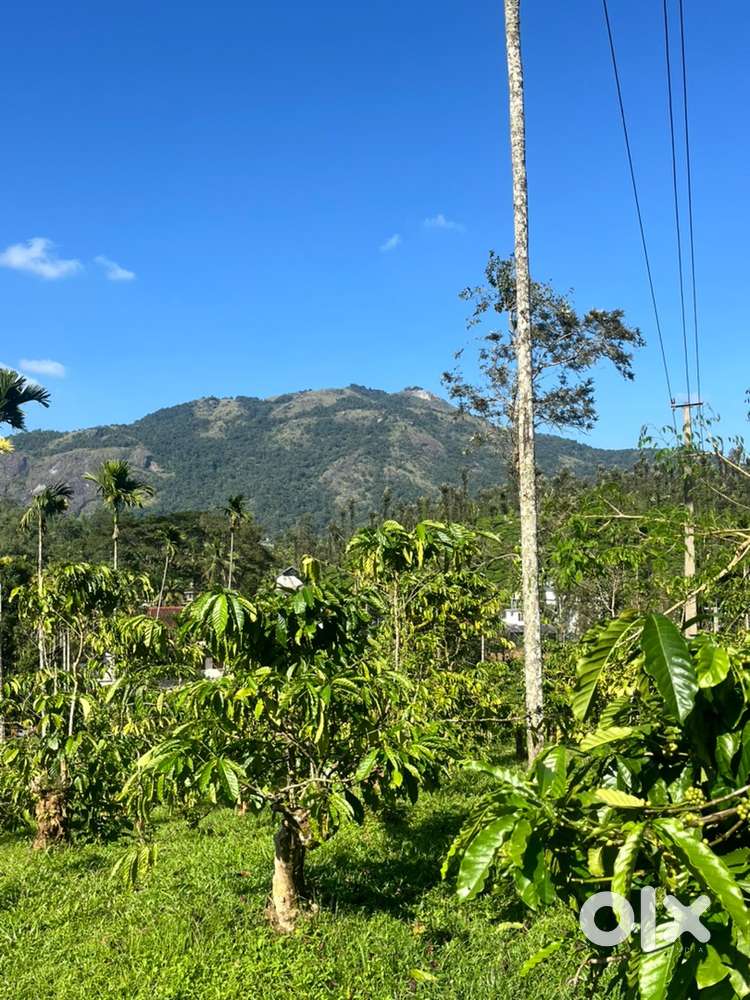 WayNad vythiri near 3.5 acre chembra view point land selling