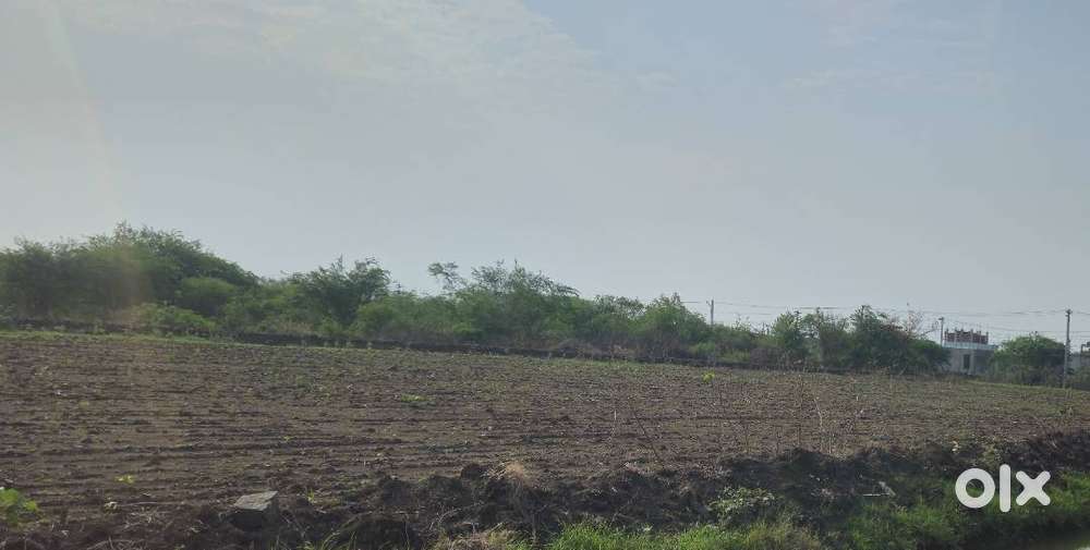 61 CENTS AGRICULTURE LAND FOR SALE THADIKONDA