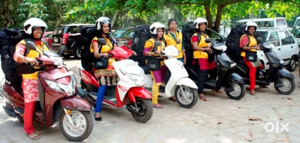 Hiring freshers and experience candidates