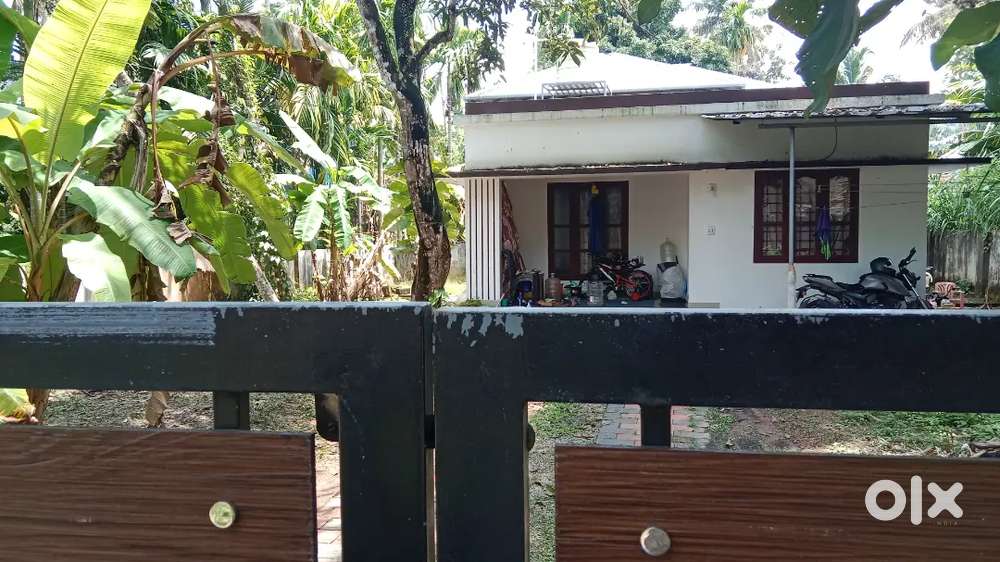 8 cent plot old home &  panangadu