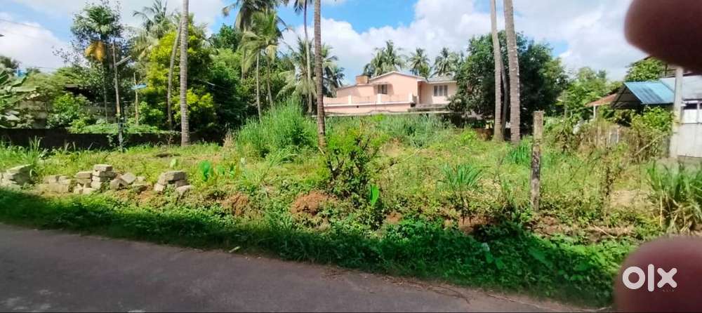 Residential Land-10.5 cent for sale in kuttanellur-Nadathara main road