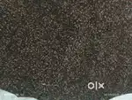 Cleaned RAGI