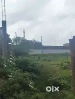 Filed eaear