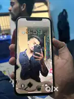 12 pro max