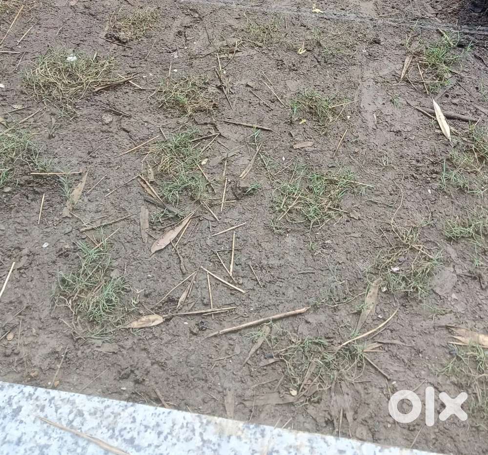 1500 sqft प्लॉट बेचना है जेके टाउन नियर जेके हॉस्पिटल कोलार रोड