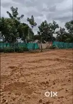 12 Gunta Farm Land for Sale – Doddaballapur