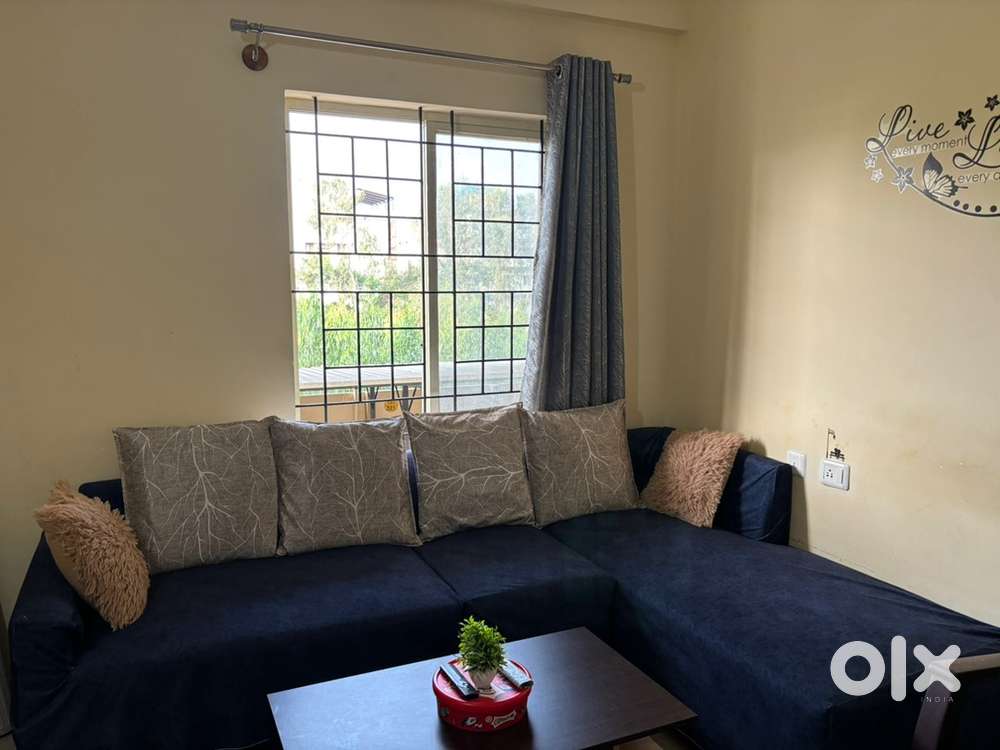 Fully furnished 3bhk flat for sale