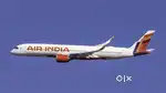 Airlines job