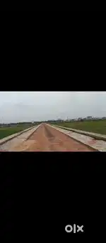 TP PLOT, near NH 600.mtr