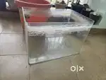Tank glass