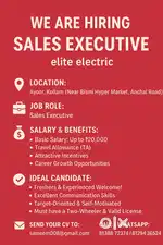 Sales executives