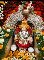 ಮನೆ ಬಾಡಿಗೆಗೆ