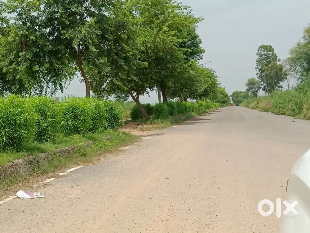 415 gaj प्लॉट 80 फूट रोड पर, सेक्टर-25, रोहतक