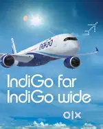 Hiring for Airport Jobs Ground Staff & AOCS Vacancy in IndiGo Airlines
