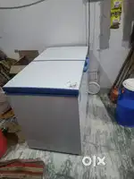 Blue star 400 litter 1year old arjent sell