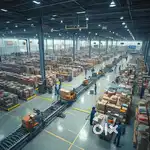 We  hiring Scanning, Packing, Billing,Data Entry