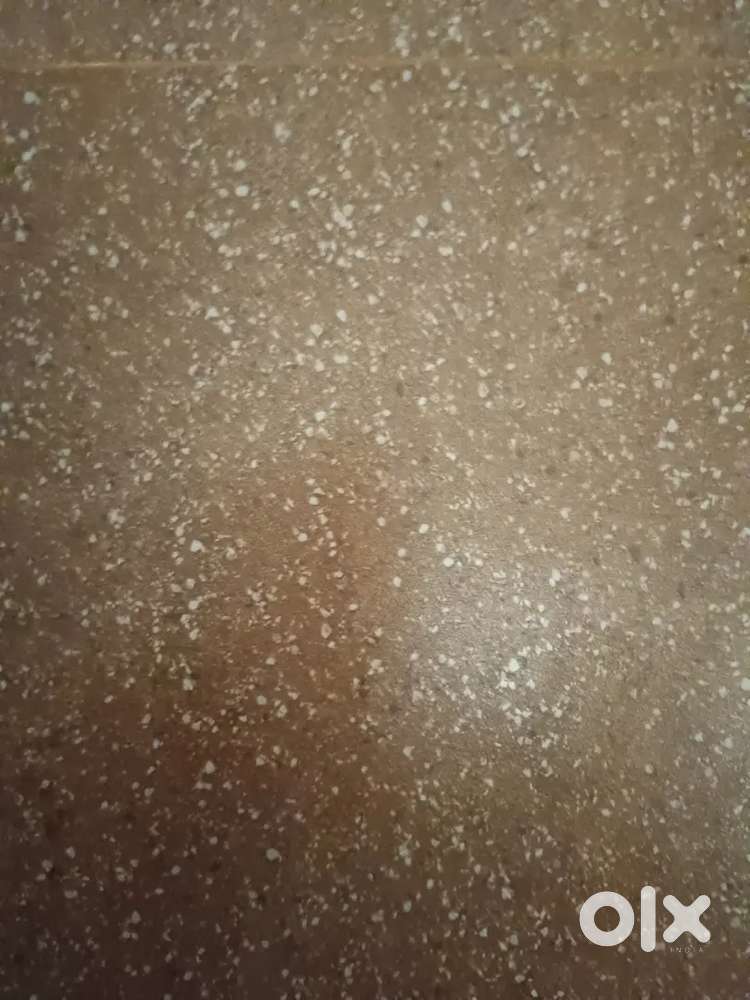 Porotta/ Chapathi maker