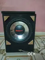 DAINTY 10 INCH SUB WOOFER