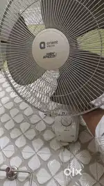 Havells Ceiling Fans & Wall Fan in Good Condition – Affordable Price