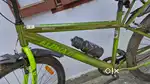 Alpha MTB cycle
