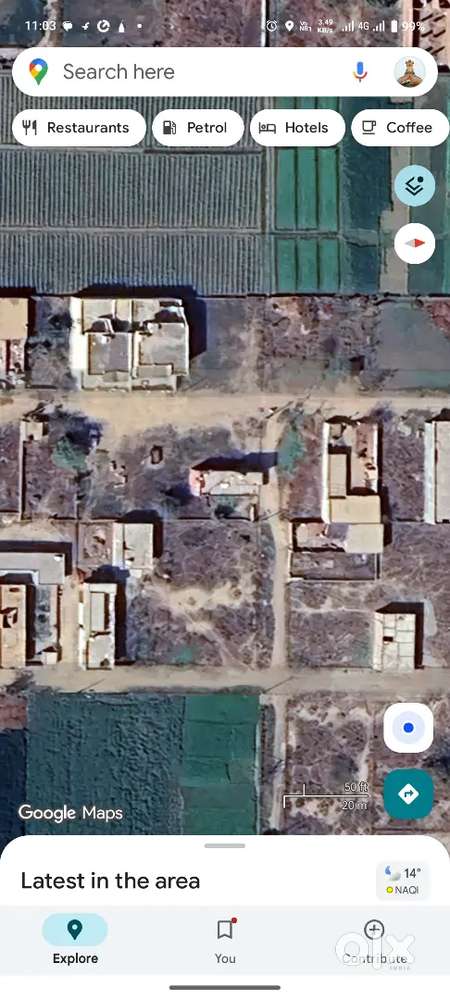 Plot for sale in Moga Punjab