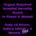 Hospital Security Guard Job Mohali