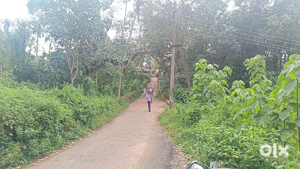 Near gokulam medical college venjaramood