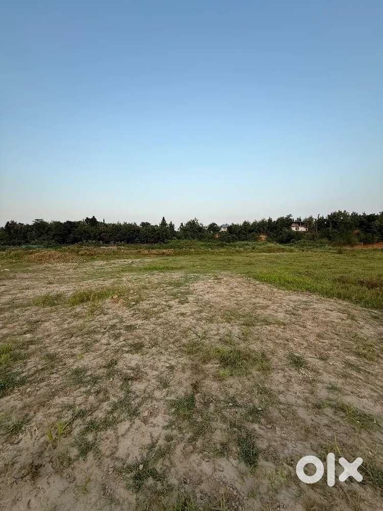 Dimapur airport adjacent plot