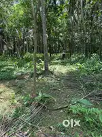 Land for sale near hilite mall chemmad
